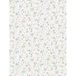  Wallpaper Brewster Make Room For Baby 77 21887