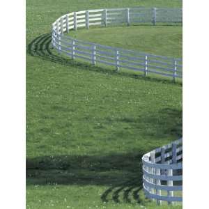  White Fence on Horse Farm, Lexington, Kentucky, USA 