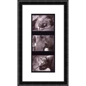   Safari Triptych II by Deborah Wilson   Framed Artwork