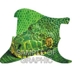   Green Snake Graphical J Bass Geddy Lee Pickguard Musical Instruments