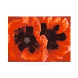    Oriental Poppies, c.1928 by Georgia OKeeffe, 40x28