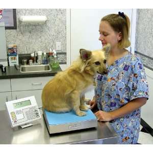  `Digital Veterinary Scale (Capacity 50 Lbs/20 Kgs) Health 