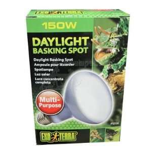   150 Watt Daylight Basking Terrarium Bulb from Exo Terra