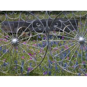  Wheel Gate and Fence with Blue Bonnets, Indian Paint Brush 