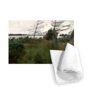 Gathering Firewood by the shore of a lake    Tea Towel 100% Cotton 