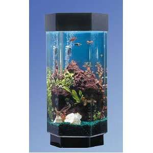  Hexagon Aqua Scape TT1500 Aquarium