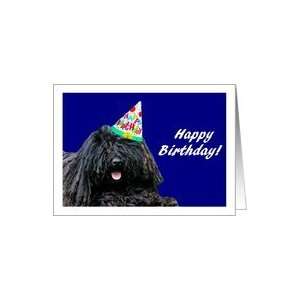  Happy Birthday Puli Dog with Birthday Hat Card Health 