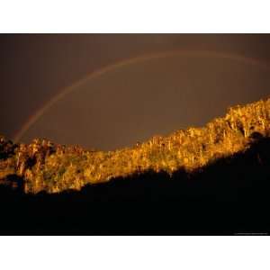 Stormy Sky and Rainbow Over Forest, Cani Sanctuary, Chile Photographic 