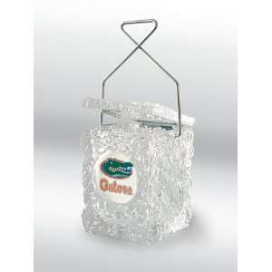  Wizard Neon Florida Gators Premium Ice Bucket