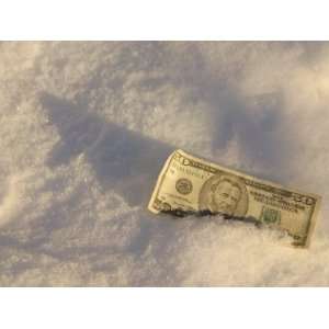  Fifty Dollar Bill Settled in Fluffy White Snow 