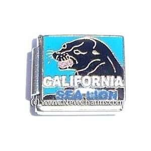  California Sea Lion Italian Charm Bracelet Jewelry Link Jewelry