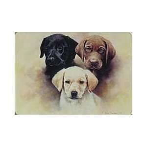  Three of a Kind Lab Puppies Magnet
