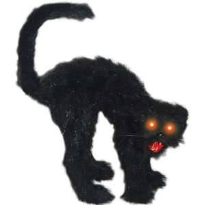   By Sunstar Industries Scaredy Cat with Light Up Eyes 