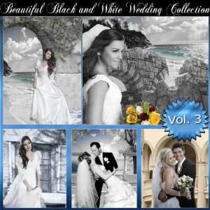   Backgrounds Photography Backdrops Wedding Vol. 3