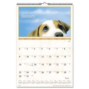 Visual Organizer Full Color Puppies Photographic Monthly Wall Calendar 
