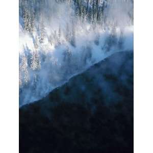  Mist on Shore of Lake with Trees in Winter at Yellowknife 