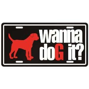  New  Border Terrier / Wanna Dog It ?  License Plate Dog 