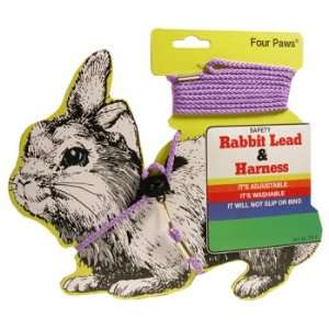 Rabbit Lead & Harness