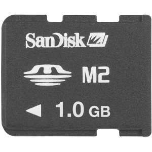   Sandisk 40x Memory Stick Micro (M2) with Pro Duo Adapter Electronics