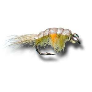  BH Pregnant Shrimp Fly Fishing Fly