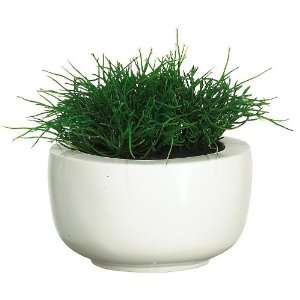  Sea Grass w/White Vase Silk Plant