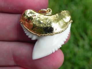 Great Looking Modern Tiger Sharks Tooth In Gold Cap   