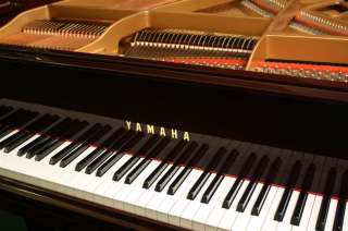 Yamaha Baby Grand Piano Dark Mahogany Pristine 5 3  