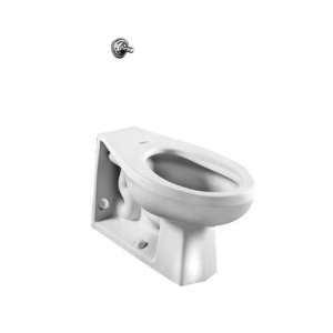   2530.116.020 Neolo 1.6 gpf Flush Valve Toilet