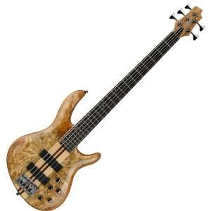   MAPLE 5 STRING ELECTRIC BASS GUITAR w/ BARTOLINIs Musical Instruments